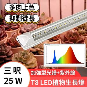 【君沛】UV加強光譜 3呎T8植物燈管 多肉上色 誘導顯色 抑制徒長 龍舌蘭 塊根控型 專業補光燈