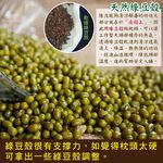 LASSLEY 亞藤艾草綠豆殼童枕 午睡枕 午休枕 午枕 小枕 小孩枕 兒童 豆枕 艾草枕 殼枕 綠豆枕 枕頭 台灣製造, , large