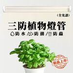 【君沛】防水 4呎 50W 植物燈 全光譜 三防燈 LED植物生長燈 陽台補光 觀葉植物 鹿角蕨 防徒長, , large