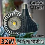 【君沛植物燈】LED植物燈 PAR38 LED32W聚光透鏡高光效植物燈(S85光譜) 黑殼 適合龍舌蘭、塊根, , large