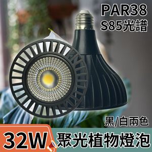 【君沛植物燈】LED植物燈 PAR38 LED32W聚光透鏡高光效植物燈(S85光譜) 黑殼 適合龍舌蘭、塊根
