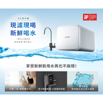 【KW廚房世界】櫻花牌 P0262 RO淨水器 限定區域送基本安裝, , large