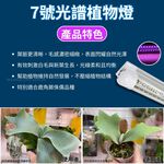 【君沛】7號光譜 V型雙排 4呎植物燈管 50W 旗艦功率 鹿角蕨推薦 觀葉植物 抑制徒長 還原原色 大型層架專業生長燈, , large