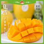 預購免運★6月上旬採收出貨【一起買】台東千金．夏雪芒果（大果4-6顆）, , large