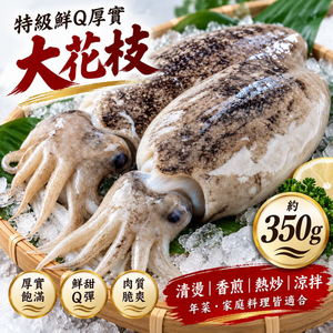【吾家有貓-海鮮屋 】特級鮮Q厚實大花枝 約350克重 減脂/年菜 聖品