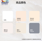 Paint, , large