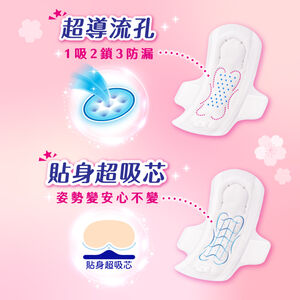 蘇菲彈力貼身超薄潔翼23CM12片