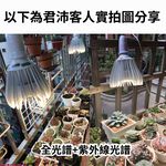 【君沛】UV紫外線全光譜 30W植物燈泡 E27 誘導上色 抑制徒長 多肉顯色 龍舌蘭控型 台灣製造, , large