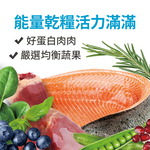 【耐吉斯】P3 凍乾多拼鮭魚餐-全齡貓 350gX2包(貓飼料/貓糧), , large