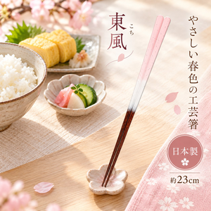 【HIYASU日安工坊】日本工藝箸-東風