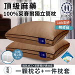 【Hilton 希爾頓】頂級麻藥100%萊賽爾100支紗獨立筒枕/二色 (B0119-XX) 10/21-12/31 滿千送【AOC】超聲波智能電動牙刷1個, , large