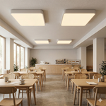 【H&R安室家】遙控調光 50CM方寸之光 LED吸頂燈HR23981, , large