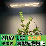 【君沛】仿太陽光薄型植物燈板 20W 全光譜 高演色性 自然舒適 觀葉 龜背芋 鹿角蕨 植物生長燈 補光, , large