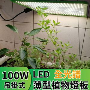 【君沛植物燈】LED植物燈 LED100W薄型植物燈板 100瓦吊掛式植物燈 仿日照陽光植物燈全光譜 高演色性生物舒適光