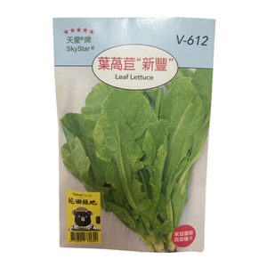 【向花緣】天星牌  葉萵苣新豐  - 蔬菜種子