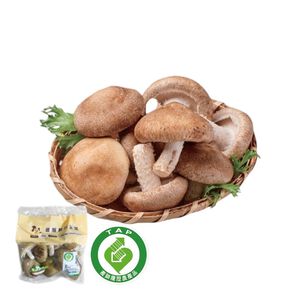 TAP Mushroom