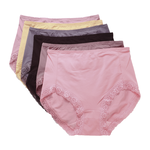 [SHIANEY]Taiwan-Made Tencel Cotton High-Waist Comfortable Women's Panties / XL, , large