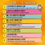 【Asmodee】大腦益智盒 動物百科 桌上遊戲 (中文英文雙語版) BrainBox Animal, , large