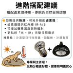 【君沛爬蟲燈】UVB 爬蟲燈 PAR38 10W｜高 UVI LED 補光燈 適用鬃獅蜥 沙漠鬣 赫曼陸龜 烏龜 蜥蜴, , large