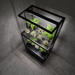 【 SHAONIANNA.TW 】創意塊根植物鐵架（搭配實用收納櫃，完美收納與展示）, , large