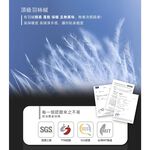 【PATTON POLO巴頓保羅】台製可水洗頂級羽絲絨被(冬被/被子/被胎), , large