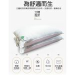 GS MALL 台灣製造 頂級可水洗羽絲絨枕 蓬鬆枕 透氣枕 柔軟枕 羽絲絨枕 絲絨枕 水洗 枕頭 寢具 枕頭套, , large