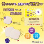 【千康嚴選】石原商店 光觸媒抗菌粉撲PLUS (方形) 2入 日本製, , large