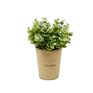 【YU Living】迷你仿真小清新綠色植物裝飾盆栽-金錢木