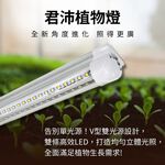 【君沛】紅藍光譜 V型雙排 3呎 T8一體式植物燈 40W 育苗首選 抑制徒長 鹿角蕨孢子苗 龍舌蘭控型 免燈座生長燈, , large