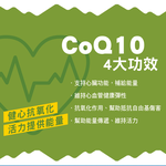 【IN-Plus】骨力補 關節心臟強化配方1gx28包(全齡犬/寵物保健/關節保健/心臟保健), , large