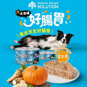 [承佳]  SOLUTION 耐吉斯 犬用 好腸胃主食罐 80g 全齡犬罐 狗主食 腸胃保健 熟齡 狗罐(24罐/箱購組)