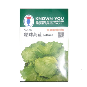 NongYou Head Lettuce &ndash; Vegetable Seeds