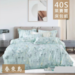 【愛神】40支天絲台灣製造天絲<春來島>雙人床包組, , large
