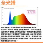 【君沛】2呎 T8植物燈管 12.5W 全光譜 植物櫃推薦 觀葉 鹿角蕨 葉菜類補光 抑制徒長 還原原色 自然光生長燈, , large