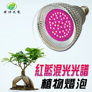 【君沛】紅藍混光 15W 高效能植物燈泡 E27 抑制徒長 精準發根 多肉控型 塊根 鹿角蕨孢子苗補光