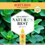 【PawHomie】Burt's Bees金縷梅薄荷潔耳液（犬用）, , large