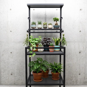 【 SHAONIANNA.TW 】工業風鐵製植物架｜一體成型免組裝・上層小層板可調