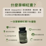 ［德風］TissoASTA 8膠囊(60顆/瓶)丨德風健康館  蝦紅素 蝦青素 藻紅素, , large