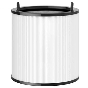 Dyson Pure Cool 二合一涼風空氣清淨機 TP00 專用濾網 _ 原廠公司貨 (新品)