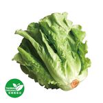 有機福山萵苣300g, , large