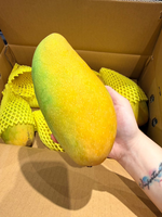 Jin Huang Mango, , large