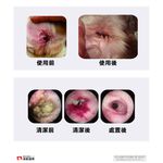 【PawHomie】Addison 愛迪生耳道滴劑｜犬貓耳道護理・耳朵異味清潔・日常耳道保養, , large