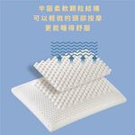 【青鳥家居】防蟎抗菌100%天然乳膠枕 枕頭 乳膠枕 乳膠枕頭 透氣枕頭 透氣枕 人體工學枕 低枕頭, , large