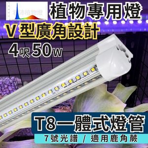 【君沛】7號光譜 V型雙排 4呎植物燈管 50W 旗艦功率 鹿角蕨推薦 觀葉植物 抑制徒長 還原原色 大型層架專業生長燈