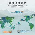 【TRILOGY奇境】幼貓 成貓 無穀燉雞湯 貓罐頭55gX24罐, , large