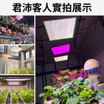 【君沛植物燈】LED植物燈 LED50W薄型植物燈板 50瓦磁吸式植物燈 紅藍混光 專業型光譜 led植物生長燈, , large