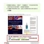 【PawHomie】愛迪生Addison 口腔凝膠 貓咪 狗狗 潔牙 凝膠 刷牙 口腔 口臭 清潔 牙膏 牙結石, , large
