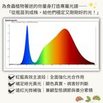 【君沛】3號顯色光譜 T8植物燈管 食蟲植物推薦 捕蠅草 毛膏菜顯色 抑制徒長 室內燈養首選 桌上型專業生長燈, , large