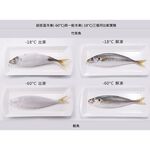 SANLUX 台灣三洋 250公升超低溫-60℃上掀冷凍櫃 TFS-250G, , large