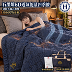【Hilton 希爾頓】石墨烯透氣四季被-附小型行李袋 (B0095-A), , large
